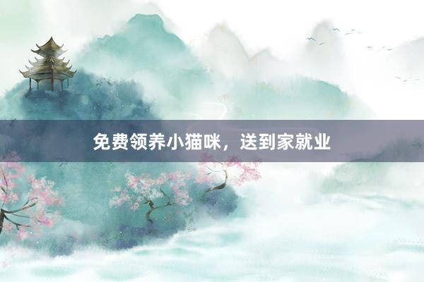 免费领养小猫咪，送到家就业