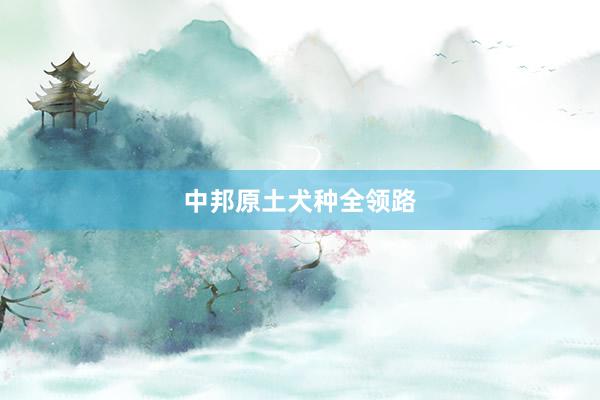 中邦原土犬种全领路